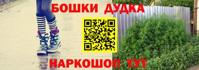 молекула духа Заводоуковск