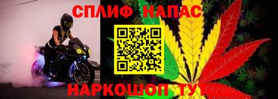 молекула духа Заводоуковск
