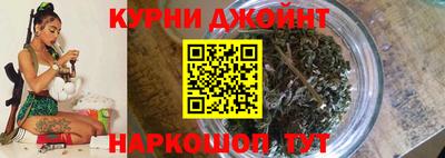молекула духа Заводоуковск