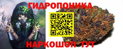 молекула духа Заводоуковск