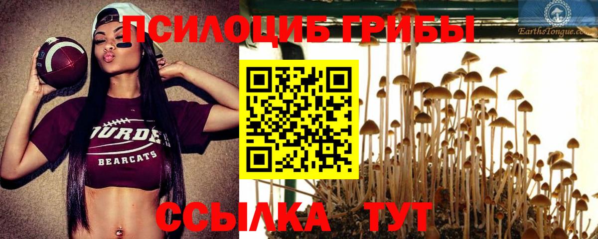 Галлюциногенные грибы мицелий Магнитогорск