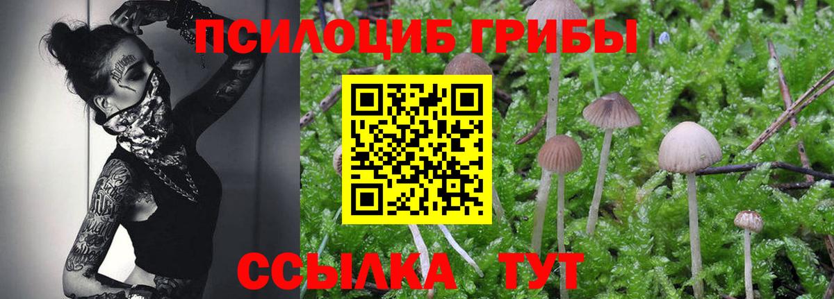 Галлюциногенные грибы MAGIC MUSHROOMS  Псилоцибиновые грибы Psilocybine cubensis  Вход с VPN  Магнитогорск 
