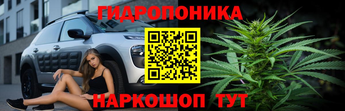 Каннабис план  Бошки марихуана SATIVA & INDICA  Вход с VPN  Бошки марихуана сатива  Марихуана сатива  Магнитогорск 